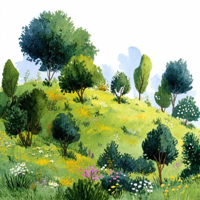 Histórias para dormir - O canto do coração