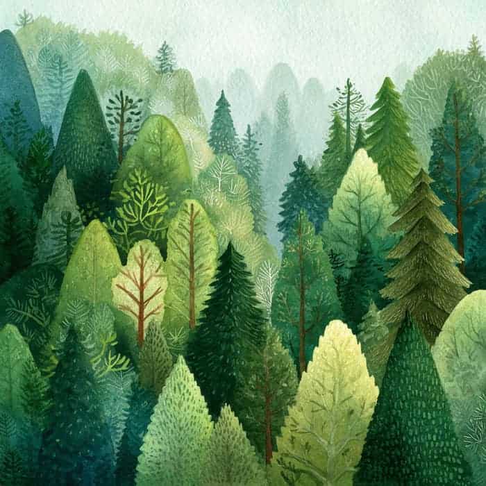 Histórias para crianças - Os sons da floresta