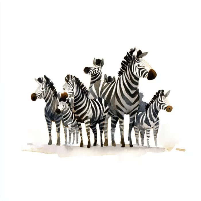 Rozprávka pre deti - A zebra que gostava de contar suas listras